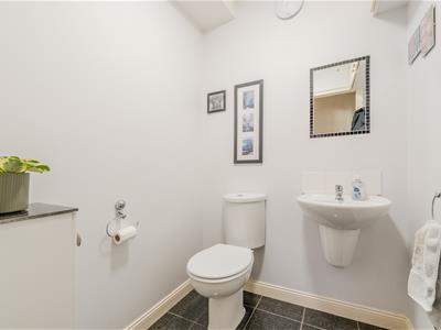 Picture 20
